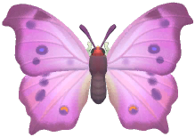 Mother-of-Pearl