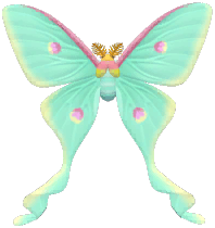 Mini Moon Moth