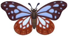 Chestnut Tiger