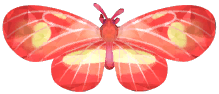Frostspore Postman Butterfly