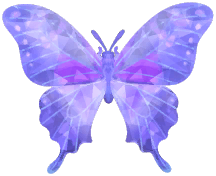 Frostspore Purple Spotted Swallowtail