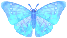 Frostspore Sulkowsky's Morpho