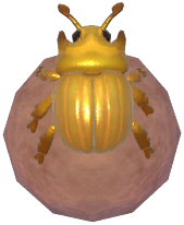 Golden Dung Beetle