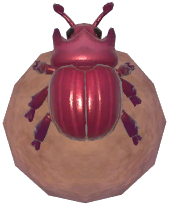 Red Dung Beetle