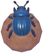 Blue Dung Beetle