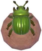Green Dung Beetle