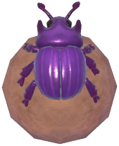 Purple Dung Beetle