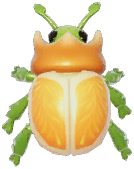 Mandarin Dung Beetle