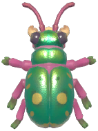 Green Tiger Beetle