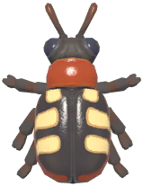 Asparagus Beetle