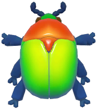 Elegant Flower Beetle