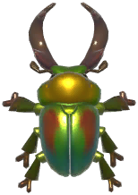 Rainbow Stag Beetle
