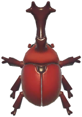 Horned Beetle