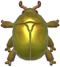 Golden Jewel Scarab