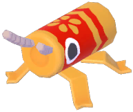 Crawling Firecracker Bug