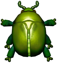 Green Flower Chafer