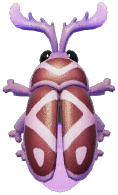 Purple-horned Firefly
