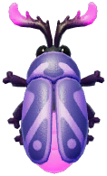 Pink-horned Firefly