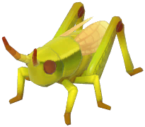 Gold Grasshopper