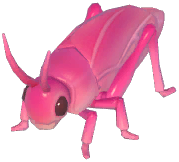 Pink Katydid
