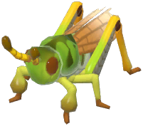 Siberian Grasshopper