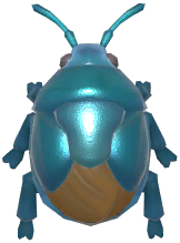 Blue Shieldbug