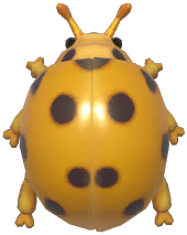 Greater Asian Lady Beetle