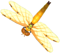 Four-Spotted Skimmer