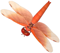 Flame Skimmer