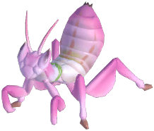 Orchid Mantis