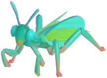 Giant Asian Mantis