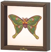 Certified Mark (Spanish Moon Moth)