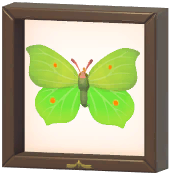 Certified Mark (Common Brimstone)
