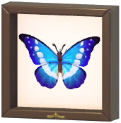 Certified Mark (Morpho Helena)