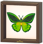 Certified Mark (Green Birdwing)