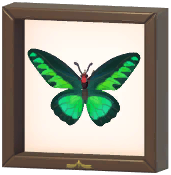 Certified Mark (Rajah Brooke's Birdwing)