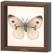 Certified Mark (Cabbage White)