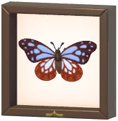 Certified Mark (Chestnut Tiger)