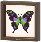 Certified Mark (Purple Spotted Swallowtail)