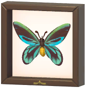 Certified Mark (Queen Alexandra's Birdwing)