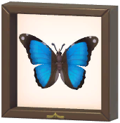 Certified Mark (Scarce Morpho)