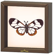 Certified Mark (Glasswing Butterfly)