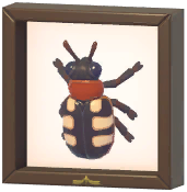 Certified Mark (Asparagus Beetle)