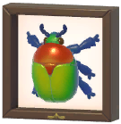 Certified Mark (Elegant Flower Beetle)