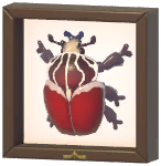 Certified Mark (Goliath Beetle)