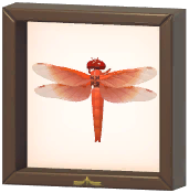 Certified Mark (Flame Skimmer)