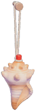 Conch