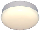 Round Ceiling Light
