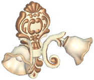 Farmhouse Double-Headed Flower Wall Lamp