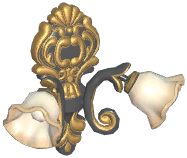 Farmhouse Double-Headed Flower Wall Lamp